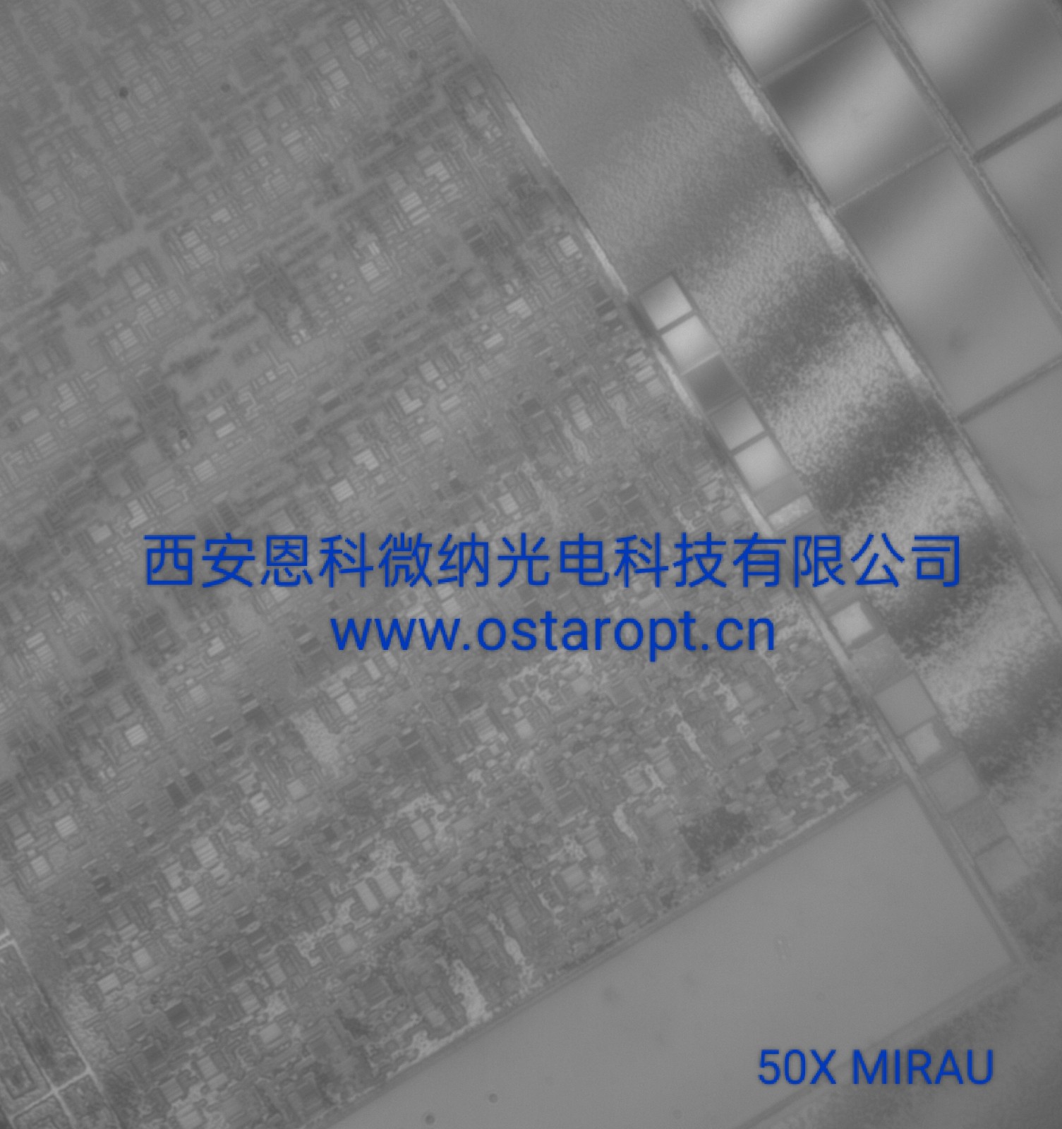 50X Mirau干涉物镜拍摄2