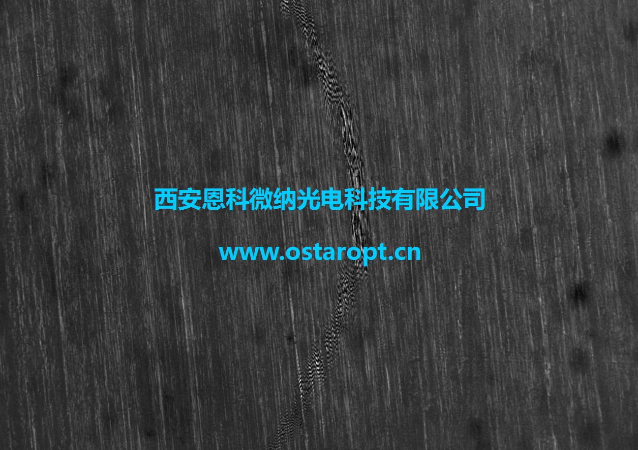 捕获5