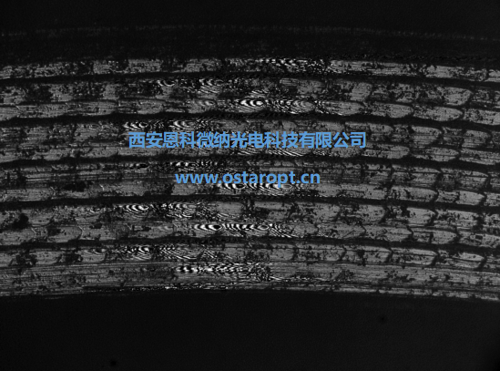 屏幕截图 2024-12-02 105957